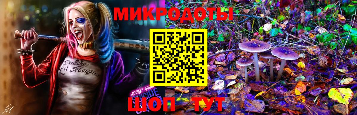Псилоцибиновые грибы Magic Shrooms  Галлюциногенные грибы Magic Shrooms  Заволжье  Вход с VPN 